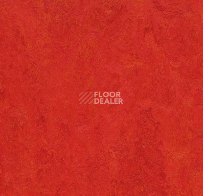Кварцвиниловые полы Forbo Marmoleum Modular t3131 scarlet фото 1 | FLOORDEALER